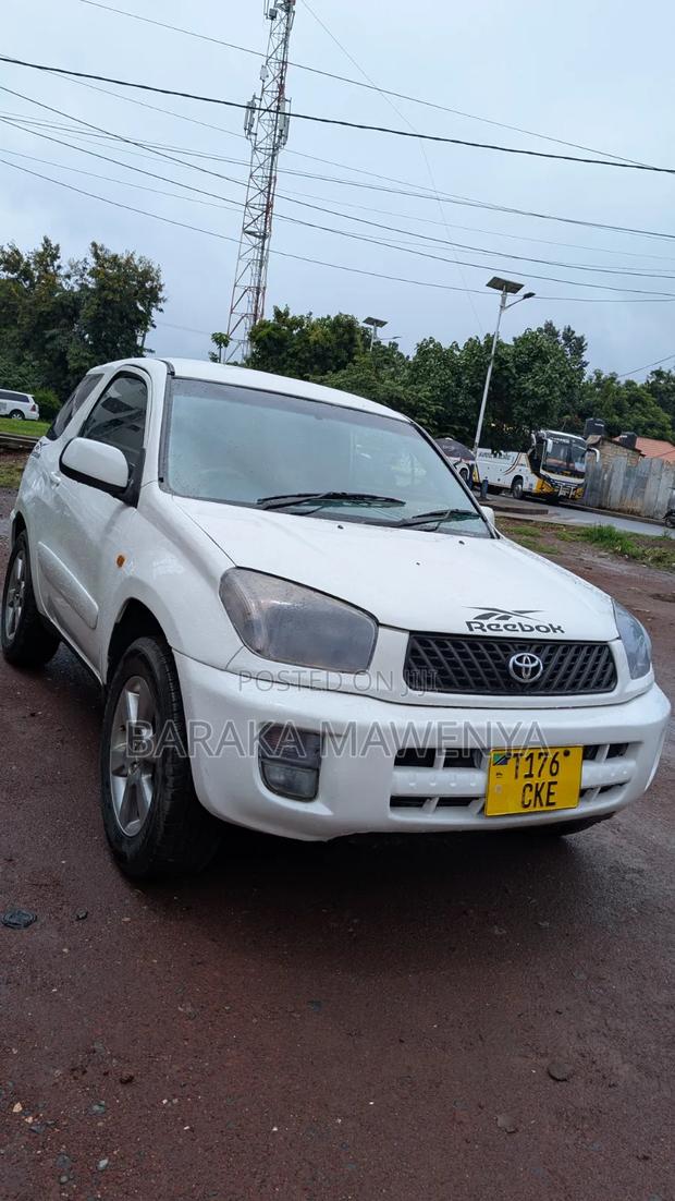 Toyota RAV4 2004 White