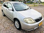 Toyota Corolla RunX 2005 Gold for sale