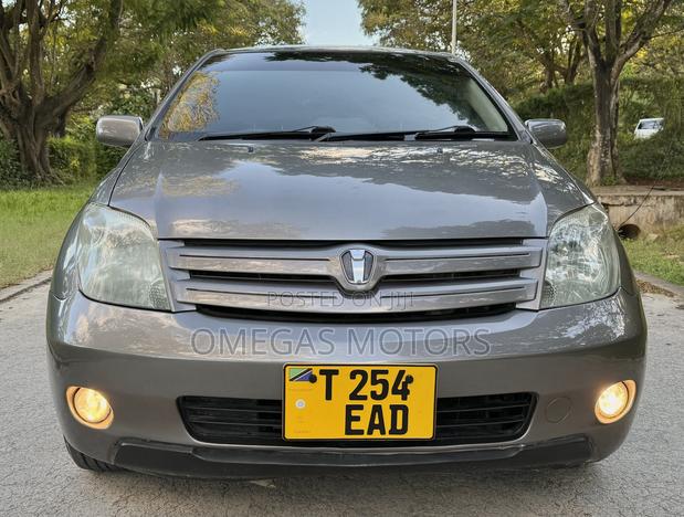 Toyota IST 2004 Gray