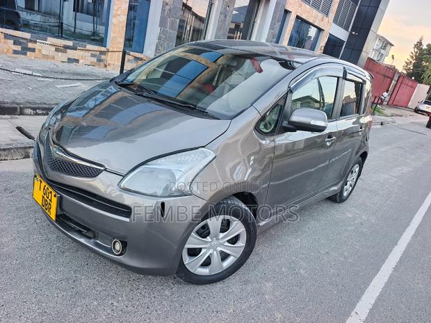 Toyota Ractis 2005 Gray