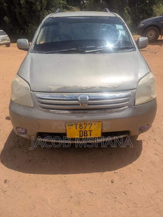 Toyota Raum 2003 Gray