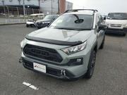 Toyota RAV4 2020 Brown for sale
