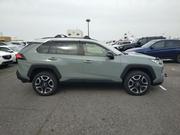 Toyota RAV4 2020 Brown for sale