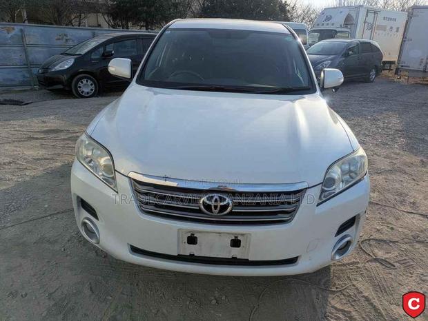 Toyota Vanguard 2009 Pearl