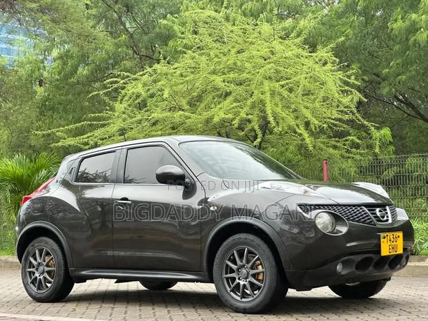 Nissan Juke 2012 Gray