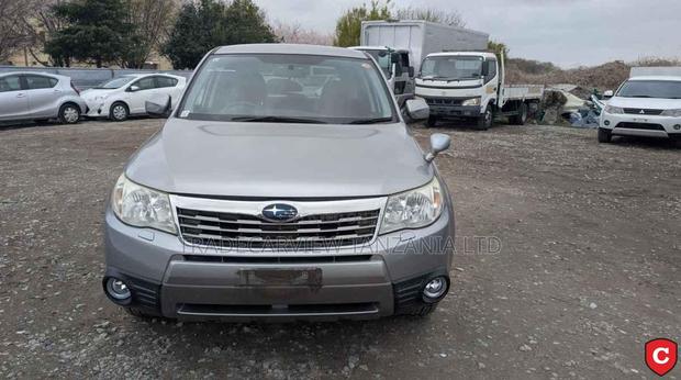 Subaru Forester 2009 Silver