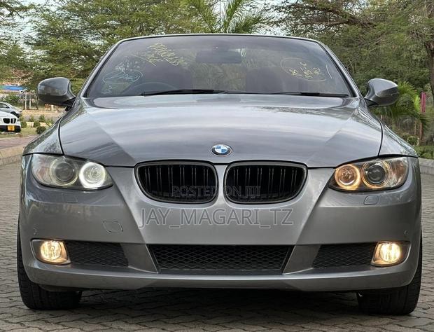 BMW 3 Series 2010 Gray