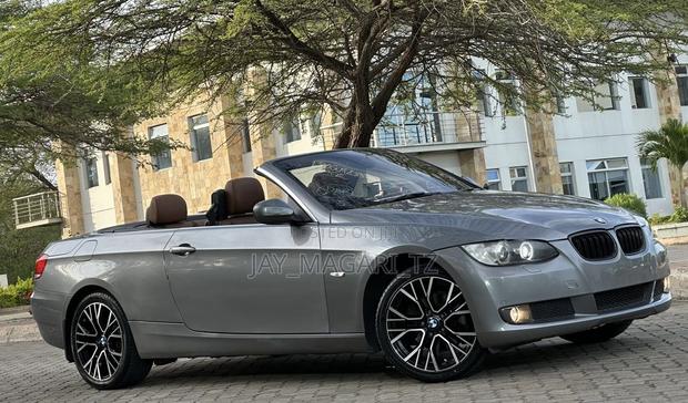 BMW 3 Series 2010 Gray