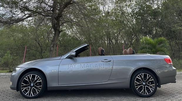 BMW 3 Series 2010 Gray