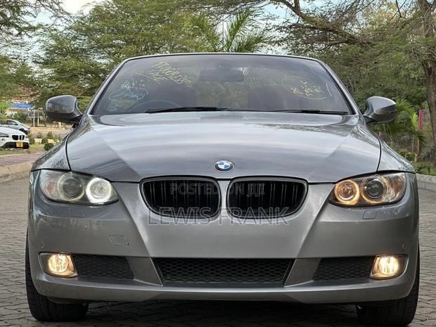 BMW 3 Series 2010 Gray