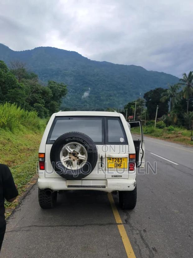 Isuzu Trooper 2001 White