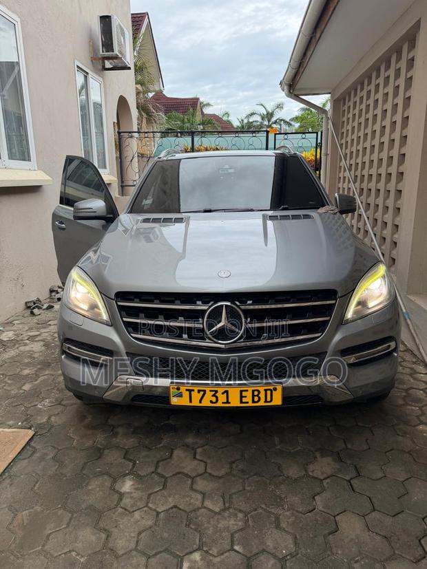 Mercedes-Benz M Class 2014 Silver