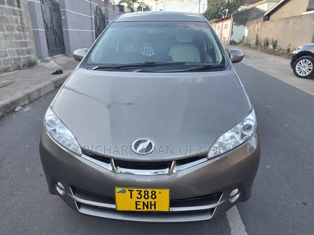 Toyota Wish 2010 Brown