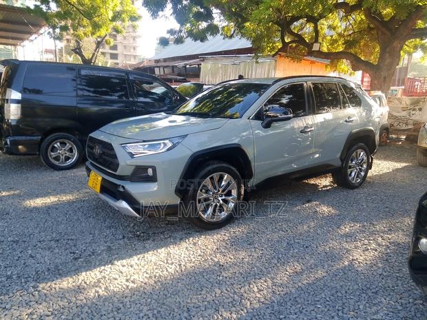 Toyota RAV4 2019 Gray