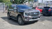 Ford Everest 2022 Gray for sale