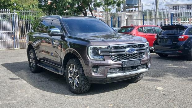 Ford Everest 2022 Gray