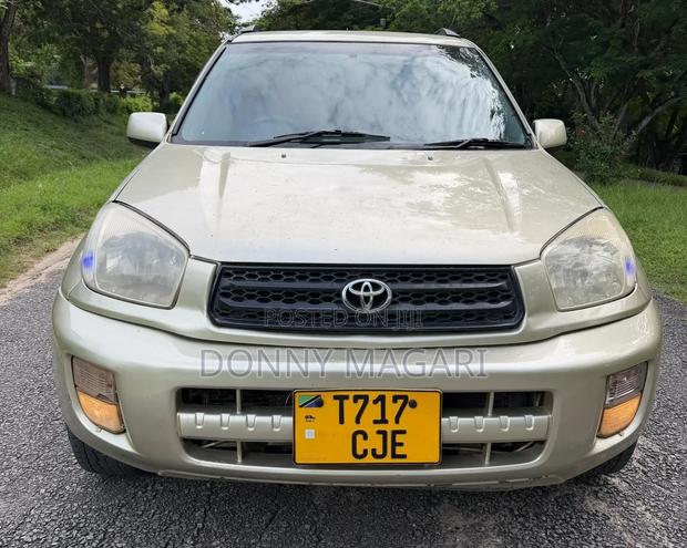 Toyota RAV4 2004 Gold