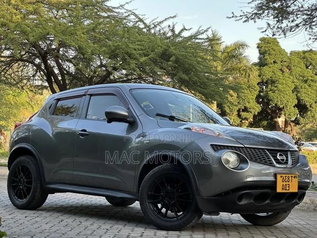 Nissan Juke 2011 Gray