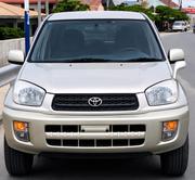 Toyota RAV4 2002 Gray for sale