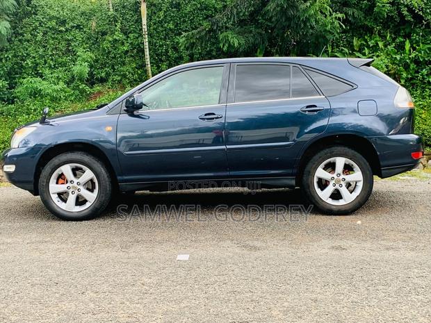 Toyota Harrier 2003 Gray