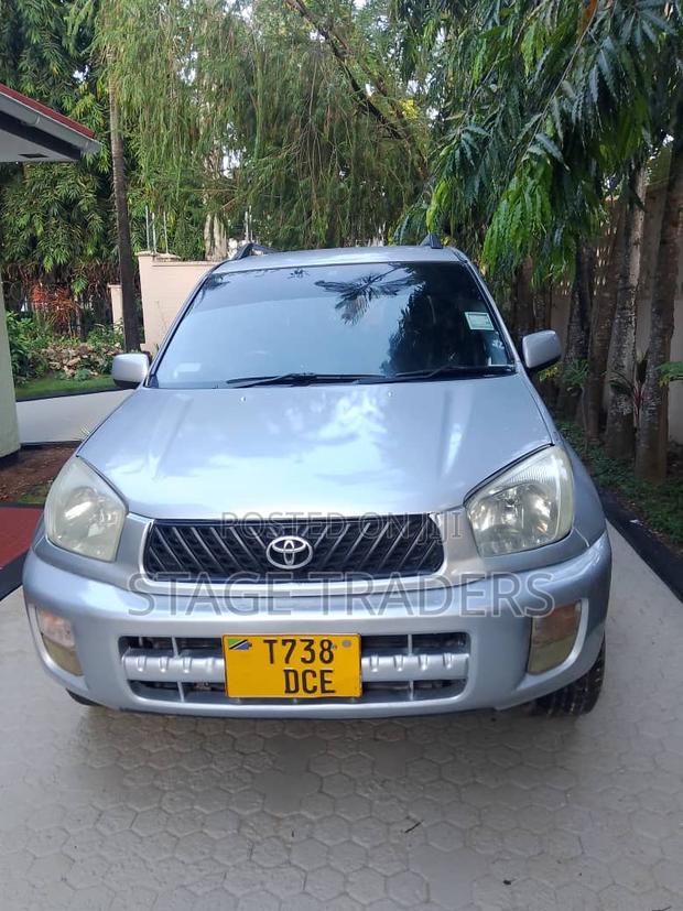 Toyota RAV4 2004 Silver
