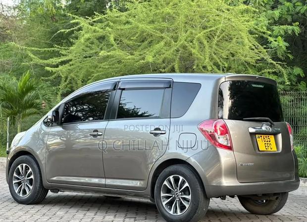 Toyota Ractis 2009 Gray
