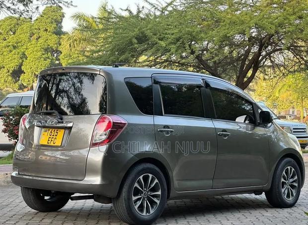 Toyota Ractis 2009 Gray
