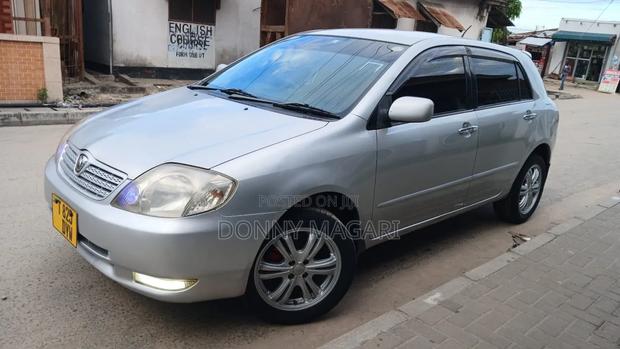Toyota Allex 2005 Silver