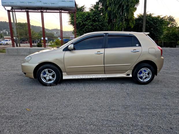 Toyota Corolla RunX 2004 Gold