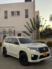Toyota Land Cruiser Prado 2010 Pearl for sale
