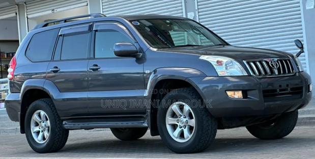 Toyota Land Cruiser Prado 2006 Gray