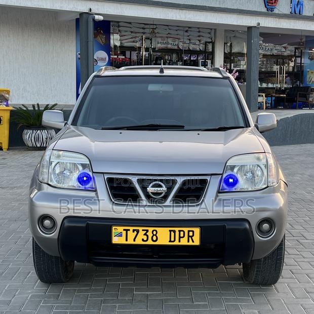 Nissan X-Trail 2.2 D Limited 4x4 2003 Silver