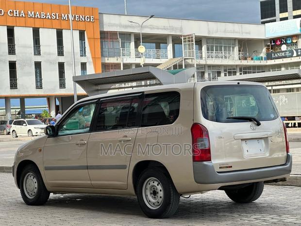 Toyota Probox 2011 Gold