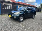 Toyota RAV4 2002 Blue for sale