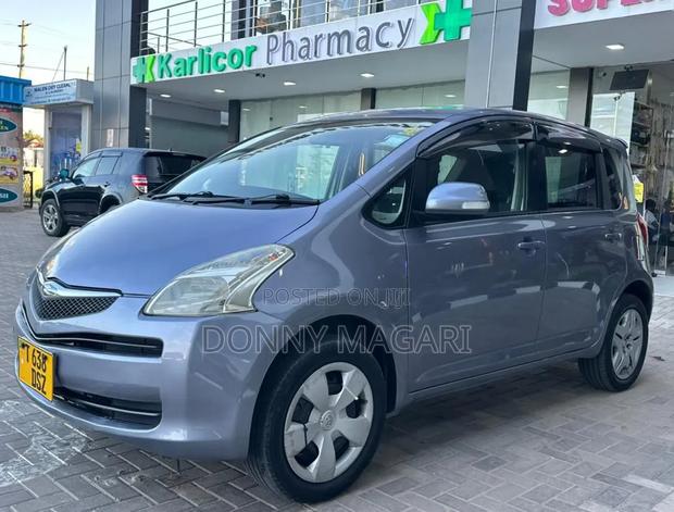 Toyota Ractis 2006 Gray