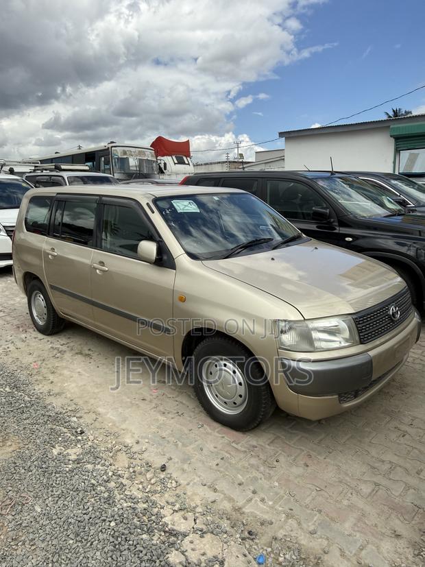 Toyota Probox 2006 Gold
