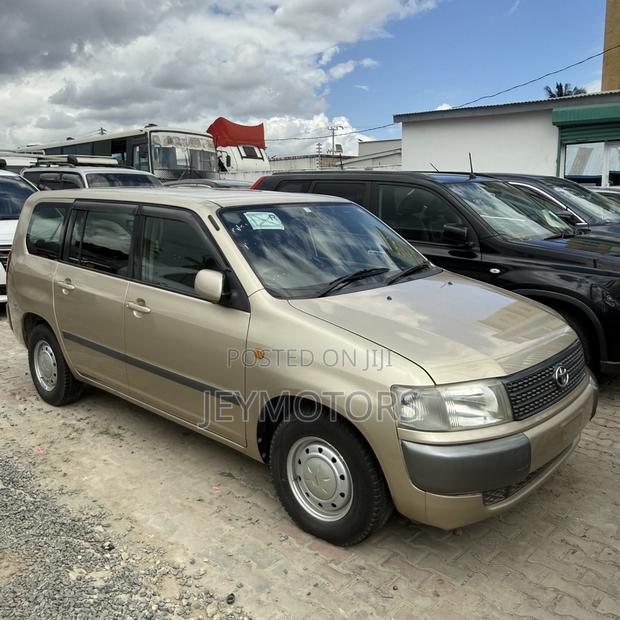 Toyota Probox 2006 Gold
