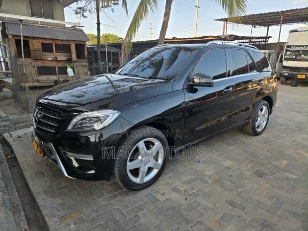 Mercedes-Benz M Class 2014 Black