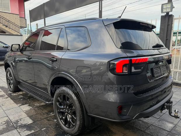 Ford Everest 2024 Gray