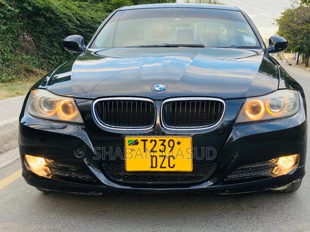BMW 3 Series 320i RWD 2010 Black