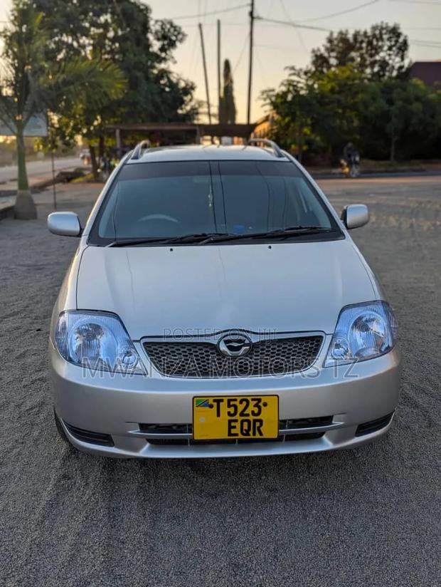 Toyota Corolla Fielder 2006 Silver