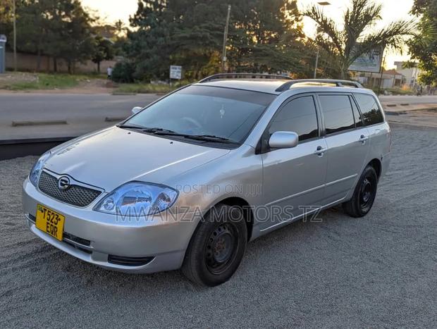 Toyota Corolla Fielder 2006 Silver