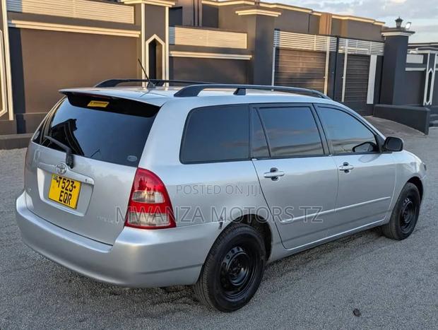 Toyota Corolla Fielder 2006 Silver