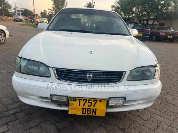 Toyota Corolla 2000 White