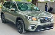 Subaru Forester 2020 Green for sale