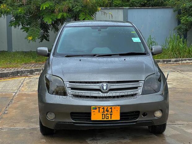 Toyota IST 2004 Gray