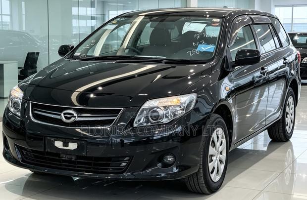 Toyota Corolla Fielder 2010 Black