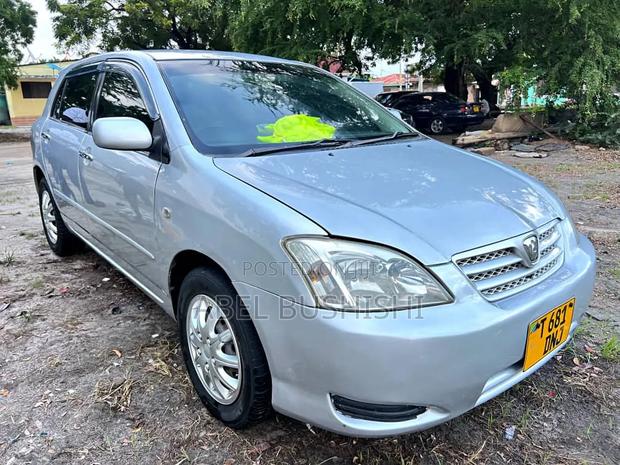 Toyota Allex 2009 Silver