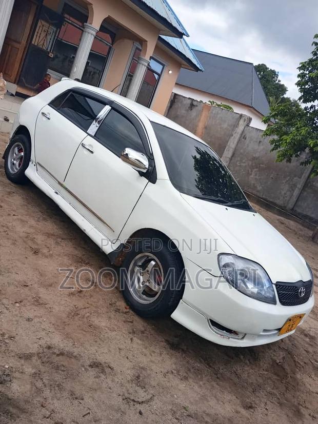 Toyota Allex 2002 White
