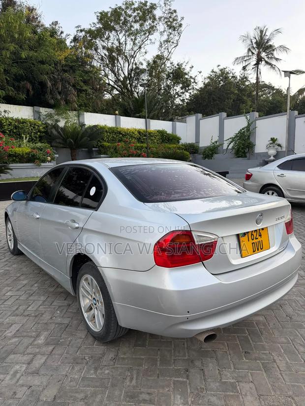 BMW 3 Series 2009 Silver